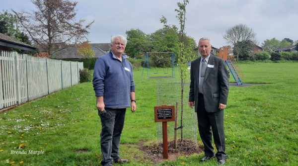 Cllr Wastell with the Jubilee Tree