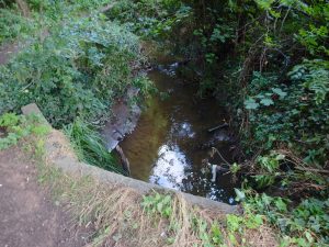 Stanney Brook flowing under the footpath between Flint Meadow (the road) and Flint Meadow (the park).