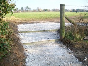 Repaired Pathways