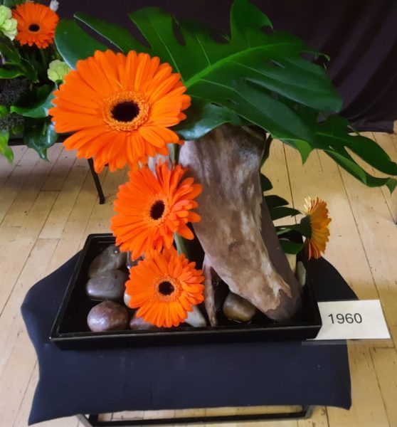 Photograph of flowers at Neston Flower Society Exhibition 2024