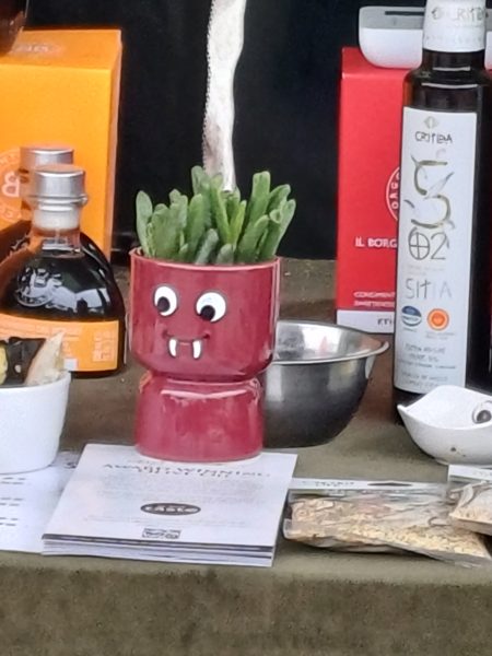 Plant in pumpkin pot